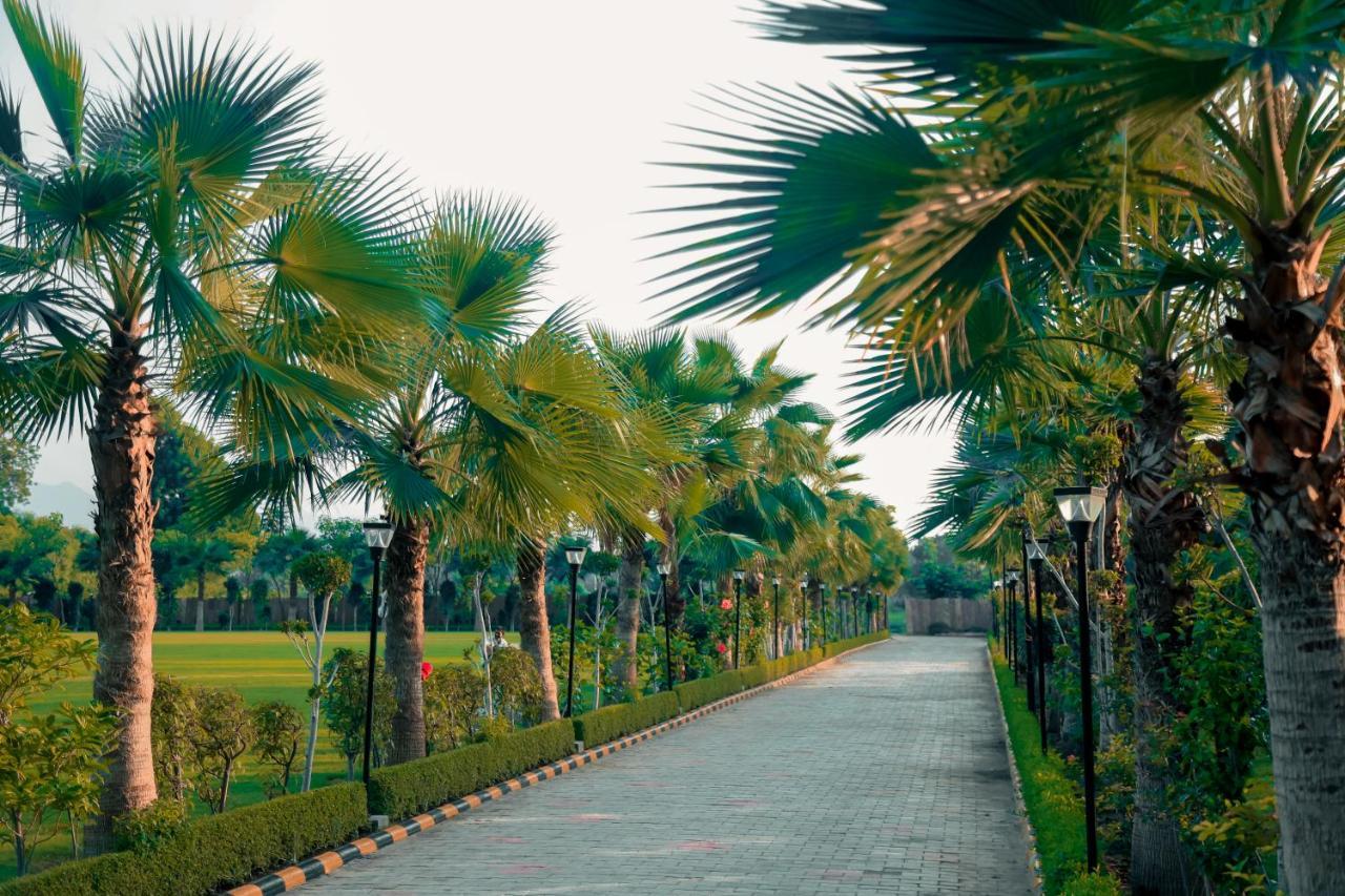 Pride Resort & Convention Center Ranakpur Near Ranakpur Dam Sādri Esterno foto